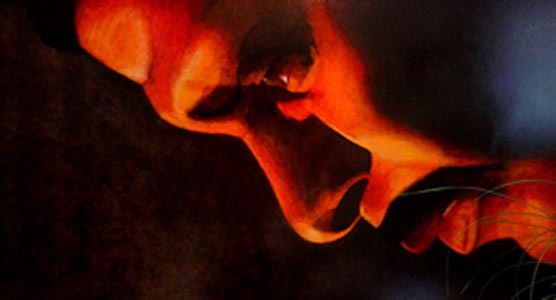 Querelle 556 x 300
