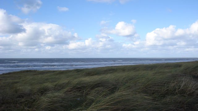 Kutland Nederland